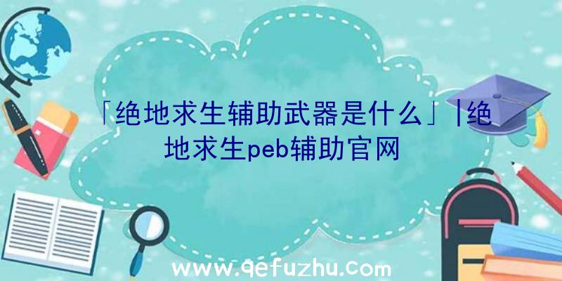 「绝地求生辅助武器是什么」|绝地求生peb辅助官网